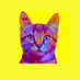 discocat (@disco___cat) Twitter profile photo discocat (@disco___cat) Twitter profile photo