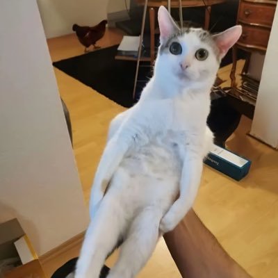 coleyle_nb's profile picture. 