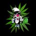 Lil Skunky (@skunky_lil) Twitter profile photo Lil Skunky (@skunky_lil) Twitter profile photo