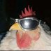 CEO - petushara🐔 (@ceopetuh) Twitter profile photo CEO - petushara🐔 (@ceopetuh) Twitter profile photo