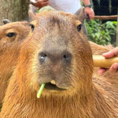 beastnut_1's profile picture. 