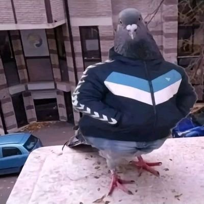 AalanSk43's profile picture. 