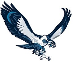 SeahawkHosting's profile picture. Seahawk Hosting - Professional business and personal webhosting