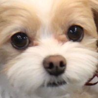 えむK (@pmwfp181) 's Twitter Profile