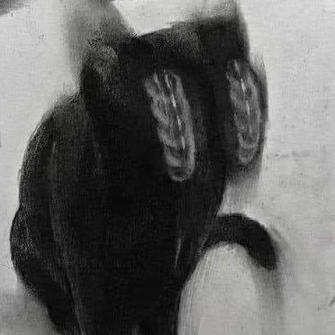 yareyare_00's profile picture. 