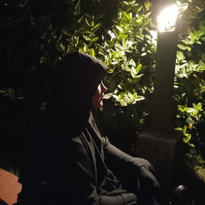 NusratJahan48's profile picture. Hi, I am digital marketing expert.