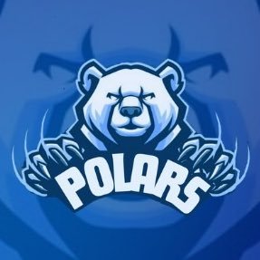 AAADUPOLARS's profile picture. Associação Atlética Acadêmica de Direito Unisa 🐻‍❄️ Polars  📍Campus Adolfo Pinheiro