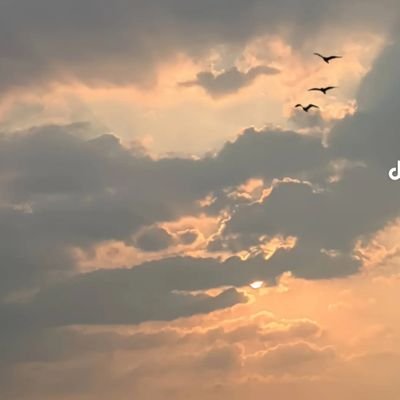 bobileph43830's profile picture. 