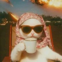 Lorena (@lorennagar) 's Twitter Profile