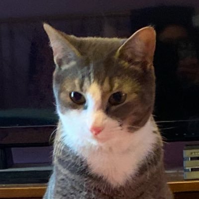 pepso16's profile picture. very $NIO very #BTC