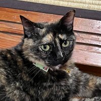 Setsuko.T (@secchi1007) 's Twitter Profile