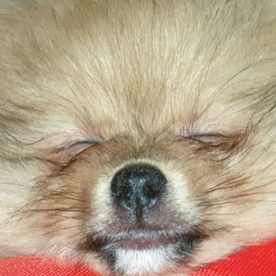 westjanie100's profile picture. Mum 🇬🇧
Love my pets, animals
Flora & fauna, ecosystem
Earth 🌏 planets: sun🌤moon🌙stars 💫 mars
Opencast coal mining, minerals, Ores, Chalk, Sand