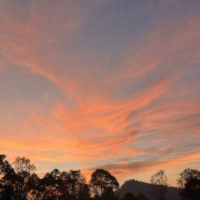 k4182667945712's profile picture. 
