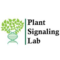 Plant Signaling Lab (@plantsignlab) 's Twitter Profile