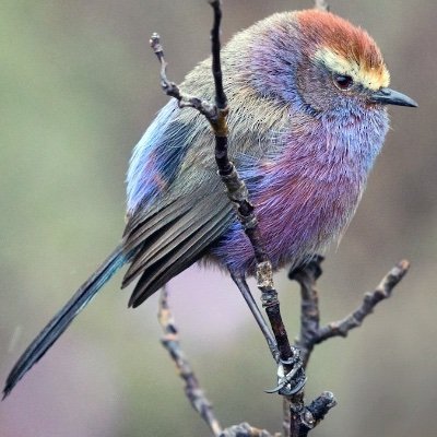 Co06666522's profile picture. 