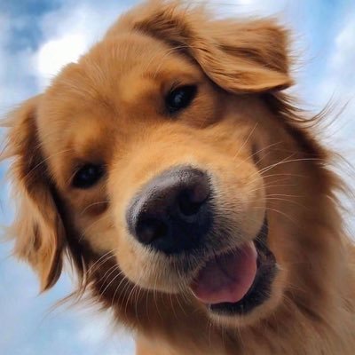 mewanjaiyang's profile picture. goal : ir chula #dek69