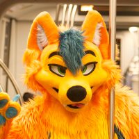 SumDingo🔜FWA (@sumdingofl) 's Twitter Profile Photo SumDingo🔜FWA (@sumdingofl) 's Twitter Profile Photo