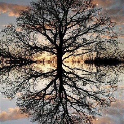 sceptic333's profile picture. Freedom loving Canadian ashamed of our Globalist Government.
51st State is our only path forward at this point.