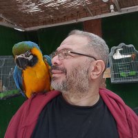 مو 🦅 عاشور (@mhd_ashour) Twitter profile photo