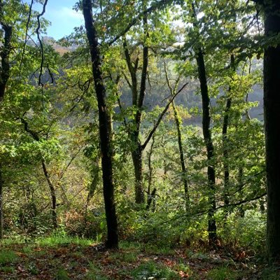 aliceking456141's profile picture. Anti MAGA .