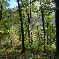 maggie (@aliceking456141) 's Twitter Profile Photo