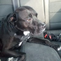 Jacqueline (@jacquel48876534) 's Twitter Profile