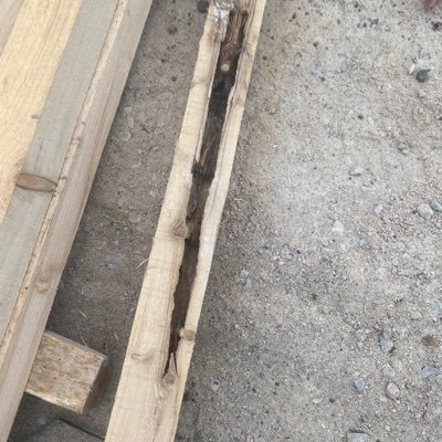 Murat197078's profile picture. Bb