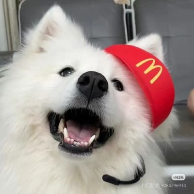 Y30369173145280's profile picture. 11年