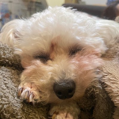 af5hz4's profile picture. 