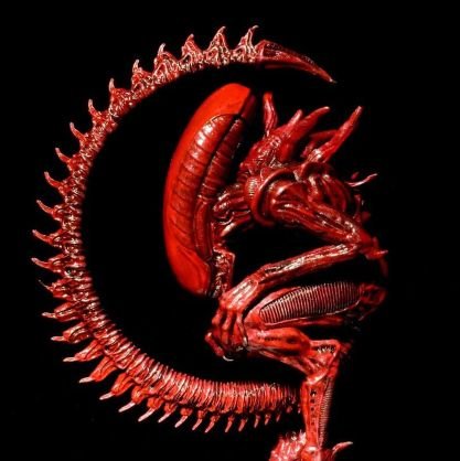 Xenomorphgay's profile picture. Intento de melómano.
MUERTE AL SIONISMO.