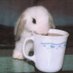 milktee (@acupofmilktee) Twitter profile photo milktee (@acupofmilktee) Twitter profile photo