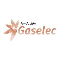 Fundación Gaselec (@fundaciogaselec) 's Twitter Profile