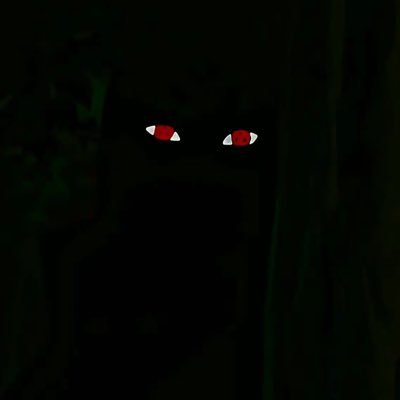 sheluvdc02's profile picture. 