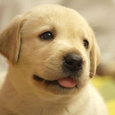 Oton117's profile picture. 健康が一番　暖かい気候大好き　お酒タバコ吸わない　アジア諸国は沢山行きました。