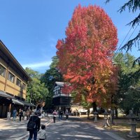 ゆづ (@630311y) 's Twitter Profile