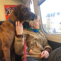 Sophie Gill-Cooke (@gillcooke) 's Twitter Profile