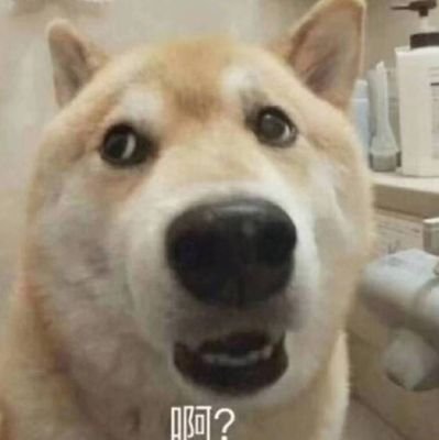 球⥀ Profile