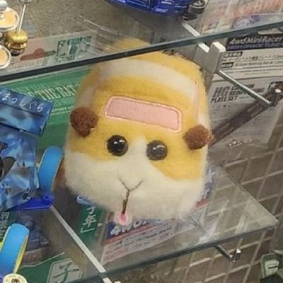 chiikawa_fps's profile picture. ハチワレ優しい