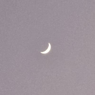 CPanda4096's profile picture. Admirer of archietecture🏛
Studying in Sherwood college, Nainital
ICSE'24