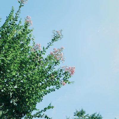 元気がいいと思われがち。心の壁は厚いです。大人です。写真はぱくたそのフリー素材。