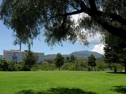 Un medio de comunicación alternativo del acontecer de Tlalpan 
https://t.co/9LlsOK3eJP