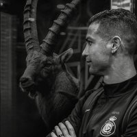 Zohaib Abdullah (@zhb6665) 's Twitter Profile Photo