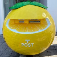 saranosuke (@saranosuke125) Twitter profile photo