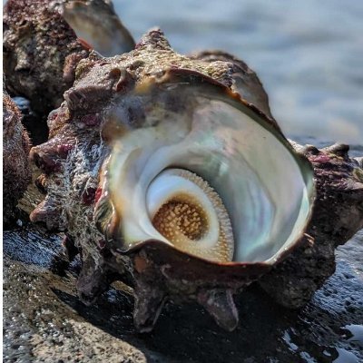 abutownofficial's profile picture. 挑戦し続けることで、昔の日本の香りただよう小さなまちが、単独町政を維持できています。
今の日本に、こんな町が一つくらいあってもいいと思われる方は、
「いいね」「フォロー」「拡散」よろしくお願いします！