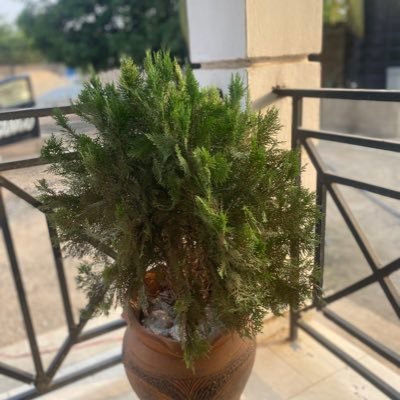 fun_bobs's profile picture. Welcome to Bobs, your ultimate destination for all things entertainment, trends, and animal post! 🏛️📚