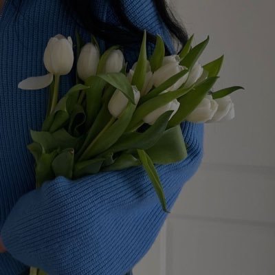 programmer_855's profile picture. طالبة IT شغوفة جدآ |أتعلم تطوير الواجهات👩🏼💻