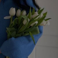 Raneem (@programmer_855) 's Twitter Profile