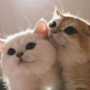 Rosy Singh - @RosySingh2110 - Twitter