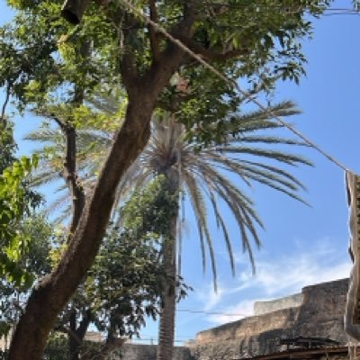 waqfethio's profile picture. يأتي بها الله ان الله لطيف خبير