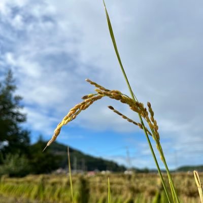 自然、芸術(音楽、ライブ、映画、文芸…)に触れることが大のお気に入り。 そのために日々探索を行なっております。
